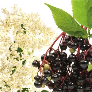 ARGONIT DEO FRUTTI PRIMAVERA 1 l - Uniwersalny płyn do powierzchni zmywalnych, zapach owoców wiosennych  - zdjęcie 4