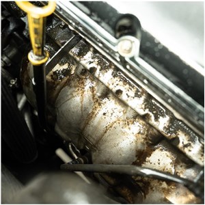 HP 12 4,5 l - zdjęcie 5